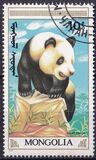 [The Giant Panda, 類型 BXF]