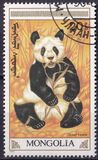 [The Giant Panda, 類型 BXG]