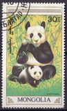 [The Giant Panda, 類型 BXH]