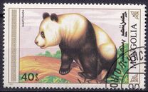 [The Giant Panda, 類型 BXI]