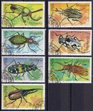 [Beetles, Typ CBV]