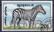 [African Wildlife, 類型 CCL]
