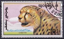 [African Wildlife, 類型 CCM]