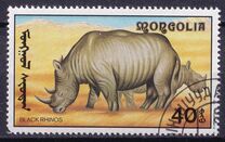 [African Wildlife, 類型 CCN]