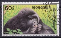 [African Wildlife, 類型 CCP]