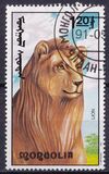 [African Wildlife, 類型 CCR]