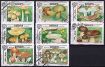 [Mushrooms, тып CCU]