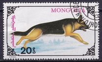 [Dogs, 유형 CDM]