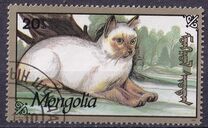 [Cats, type CDU]