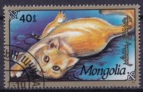 [Cats, type CDW]
