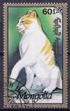 [Cats, type CDY]