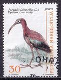 [Birds, tip GT]