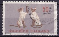 [Siamese Cats, 类型 NL]