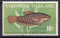 [Thai Fish, type KW]