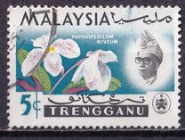 [Orchids, type AC]