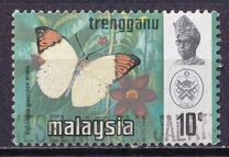 [Butterflies, type AM]