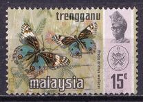 [Butterflies, type AN]