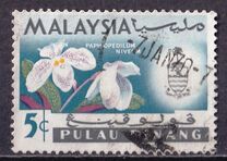 [Orchids, type AH]