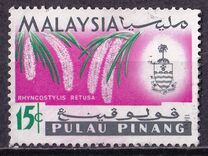[Orchids, type AK]