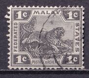 [Tiger - Different Watermark, type C39]