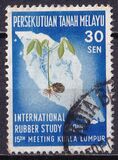 [The 15th National Rubber Research Conference, type P]