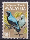[Birds, 类型 I]