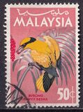 [Birds, 类型 J]