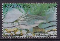 [Freshwater Fish, Typ HC]