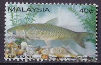 [Freshwater Fish, Typ HD]