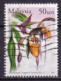 [The 17th World Orchid Conference, type AMM]