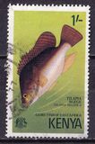 [Sport Fishing - Fish, Вид BO]
