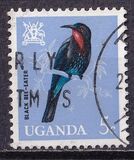 [Birds, type Y]