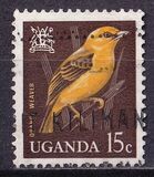 [Birds, type AA]