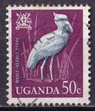 [Birds, type AE]