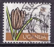 [Cultivos de Uganda., tipo BF]