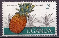 [Ugandan Crops, Typ BN]