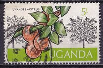 [Ugandan Crops, Typ BP]