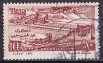 [The 41st Anniversary of Misr - Organization, タイプ CV]