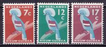 [Western Crowned Pigeon, type P]