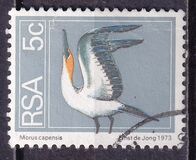 [Flora and Fauna, type NK]
