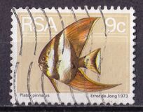 [Flora and Fauna, type NN]