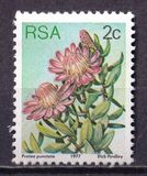 [Flora - Protea Plants, type PH]