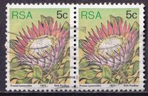 [Flora - Protea Plants, type PK]