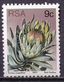 [Flora - Protea Plants, type PO]
