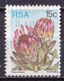 [Flora - Protea Plants, type PQ]