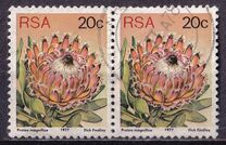 [Flora - Protea Plants, type PR]