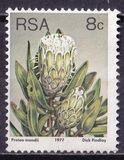 [Flora - Protea Plants, type PN1]