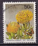 [Flora - Protea Plants, type PU1]