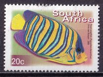 [Fauna and Flora - Fish, Tip ASK]
