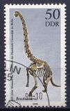 [The 100th Anniversary of the Natural History Museum, tip DGX]